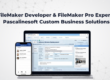 FileMaker Developer